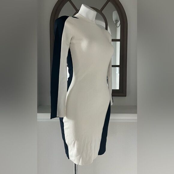 Rag & Bone Cecilee Long-Sleeve Colorblock Sheath Dress REVOLVE, NWT, Size XS - Picture 5 of 15